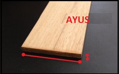 Profili Ayous Fai da Te