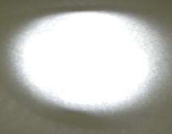 Bispina led G9 4W
