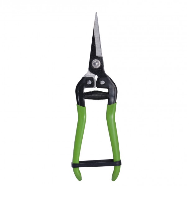 Forbice raccoglifrutta / ortaggi art 2055/3