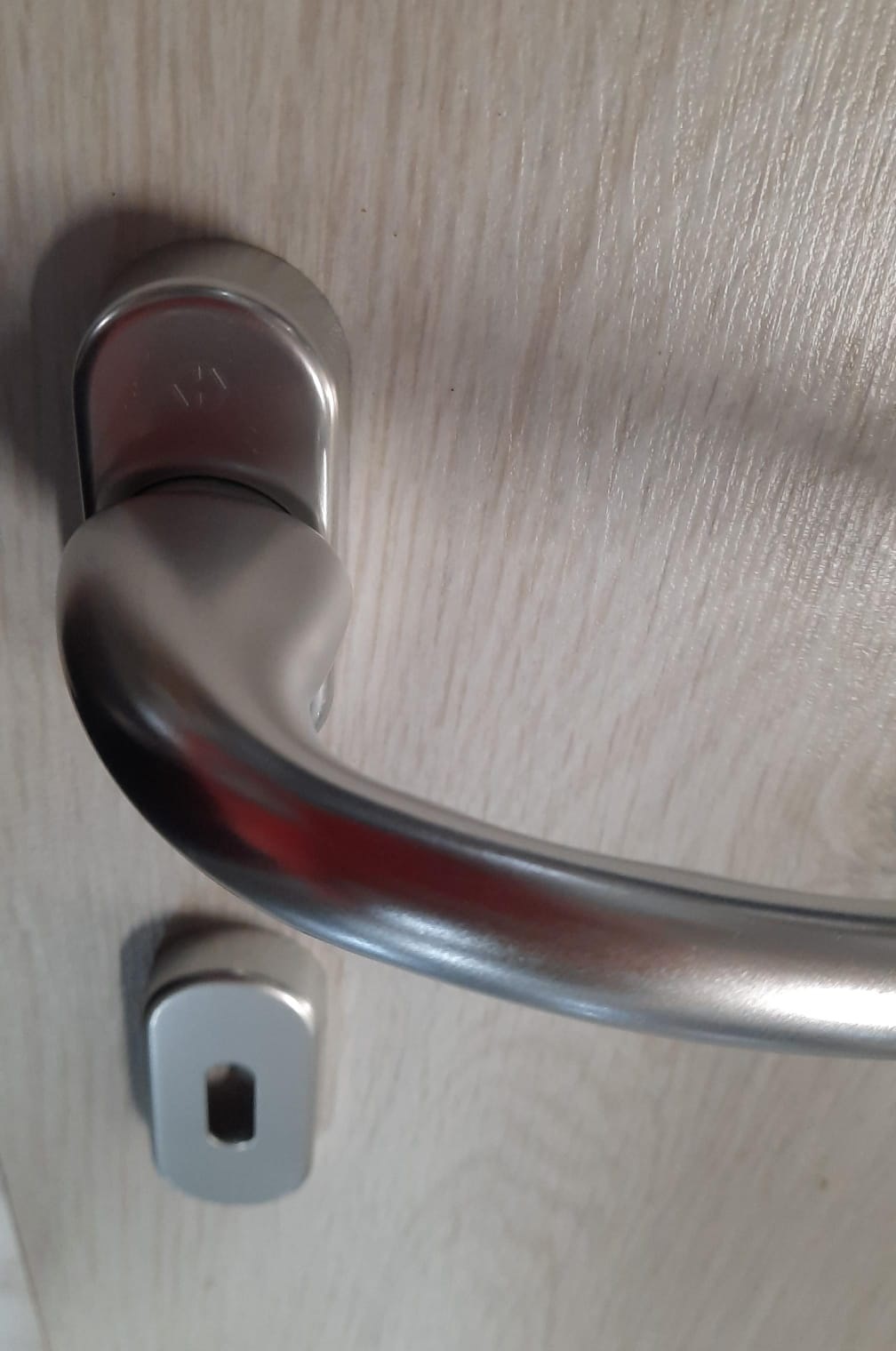Maniglia per porta  OVALE Tokio Hoppe alluminio argento 