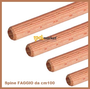 Spine faggio da mt1