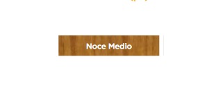 Ritocco legno pennello
