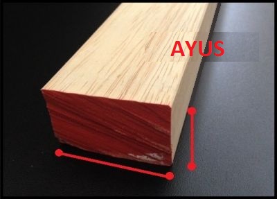 Profili Ayous Fai da Te