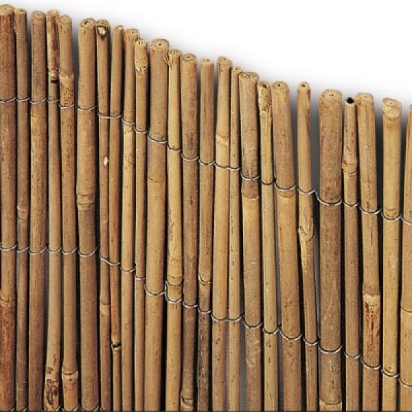 Arella / canniccio  bambù pieno da Ø 8-10 mm  pesante