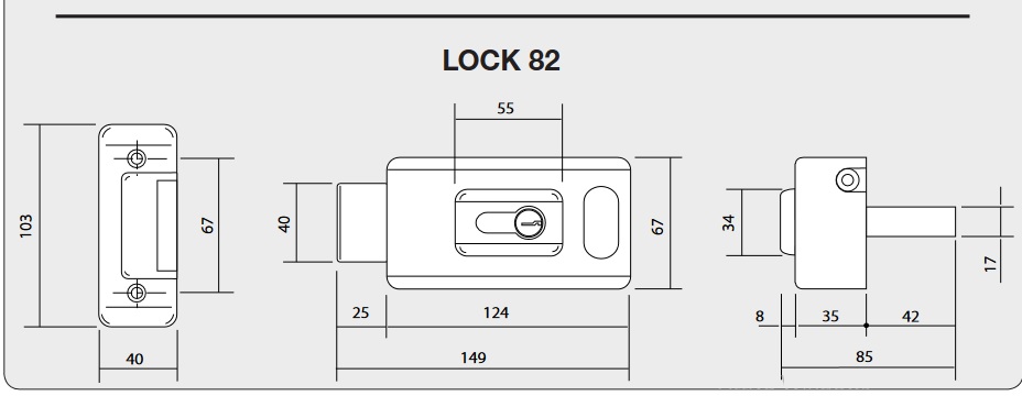 Serratura Came Lock82 verticale